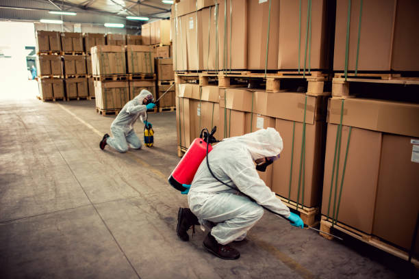 Best Pest Control for Restaurants  in Joseph City, AZ