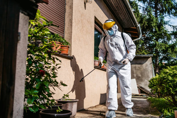 Best Affordable Pest Control Services  in Joseph City, AZ