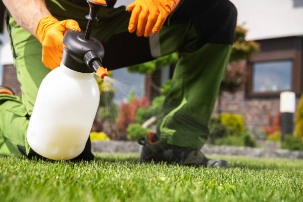 Best Best Pest Control Companies  in Joseph City, AZ