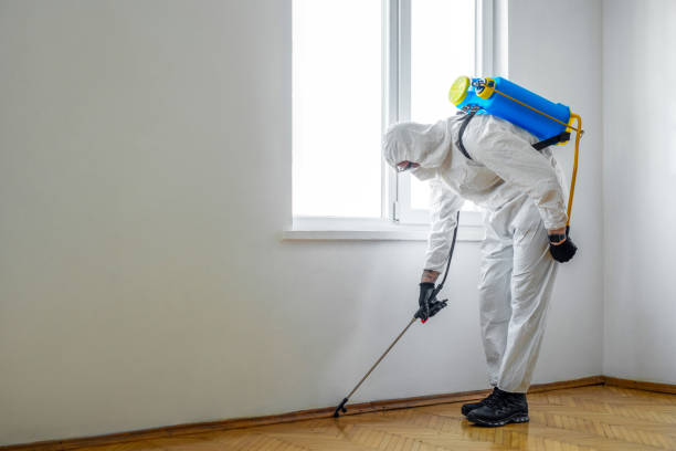 Best Pest Removal Services  in Joseph City, AZ