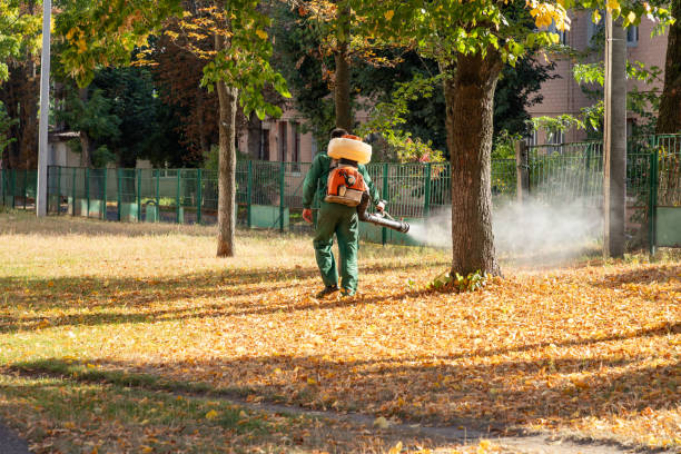 Best Best Pest Control Companies  in Joseph City, AZ