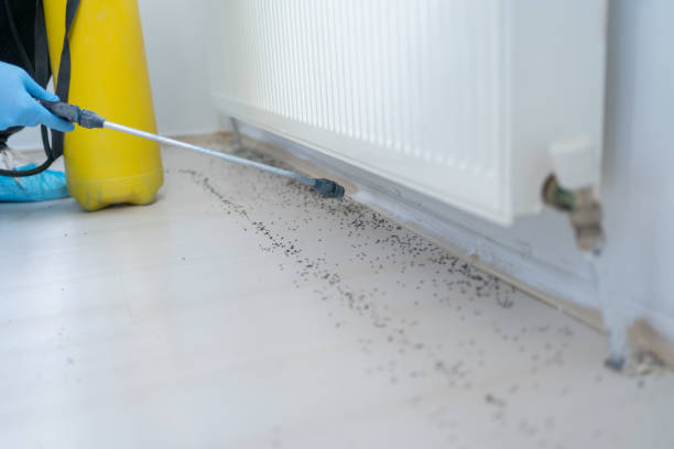 Best Wildlife Control Services  in Joseph City, AZ